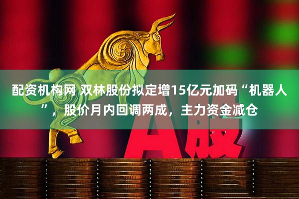 配资机构网 双林股份拟定增15亿元加码“机器人”，股价月内回调两成，主力资金减仓